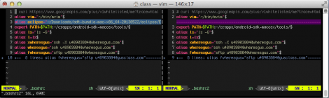 A demo of VimDiff with my color scheme.