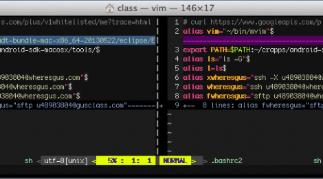 A demo of VimDiff with my color scheme.